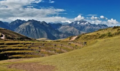 Your Ideal Picnic Destination