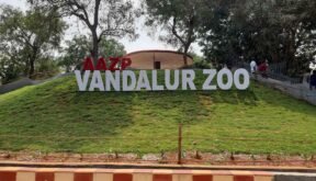 The History of Vandalur Zoo (Arignar Anna Zoological Park)