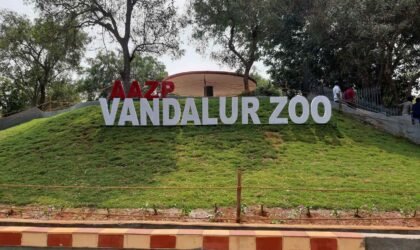 The History of Vandalur Zoo (Arignar Anna Zoological Park)