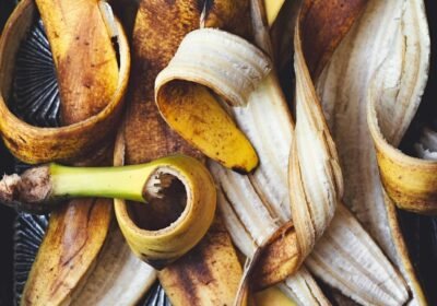 Sustainable Farming: Cultivating a Better World for Future Generations