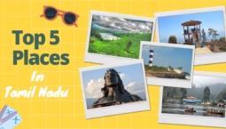 Top 5 Places in Tamilnadu for “Gang Trip”