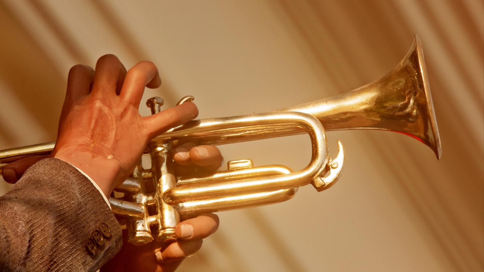 Evolution of Trumpet