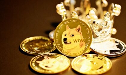 Shiba Inu Cryptocurrency Update: March 2025 Price Analysis and Investment Insights