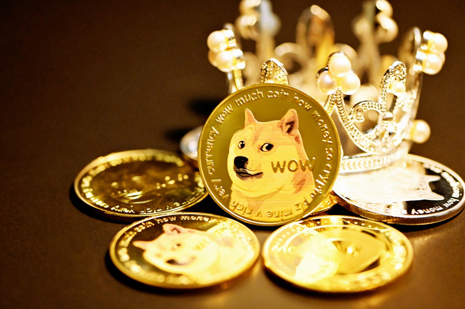 Shiba Inu Cryptocurrency Update: March 2025 Price Analysis and Investment Insights