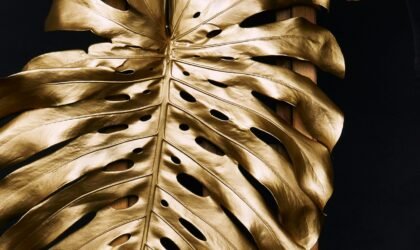 Latest Update on Tether Gold: Current Price and Investment Insights (April 2025)