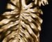 Latest Update on Tether Gold: Current Price and Investment Insights (April 2025)
