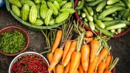 Discover the Power of Herbal Remedies: The Growing Trend of Natural Health in Liechtenstein