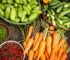 Discover the Power of Herbal Remedies: The Growing Trend of Natural Health in Liechtenstein