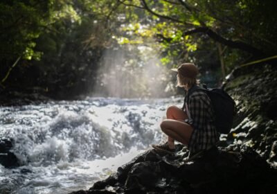 Exploring Suriname: A Journey Through History, Architecture, and Culture