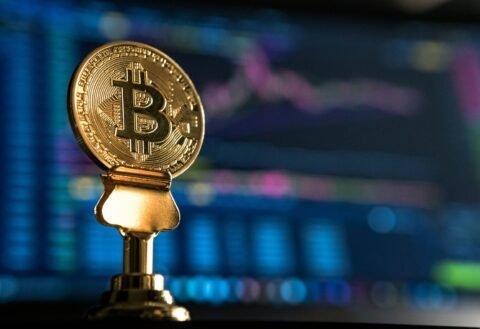 Exploring the First Digital USD: Current Trends and Future Prospects