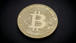 Latest Updates on Provenance Blockchain: Price Trends and Investment Insights