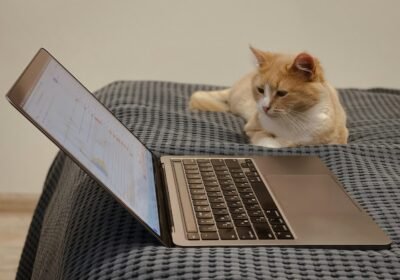 Latest News on Near Protocol: Price Analysis and Investment Suggestions