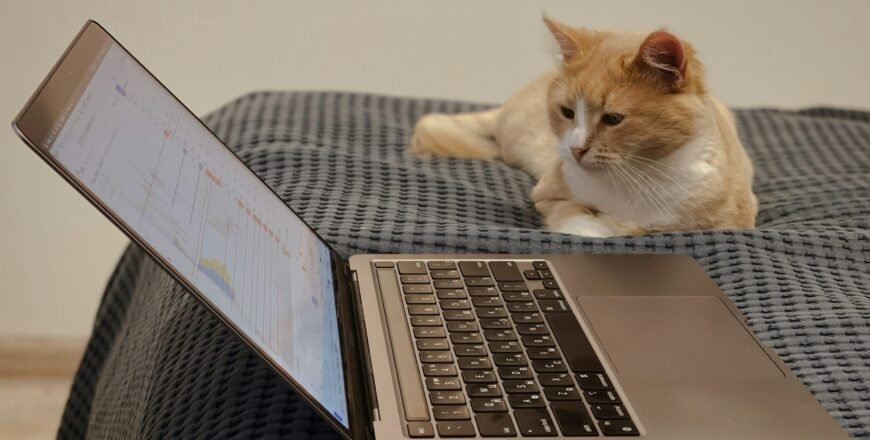 Latest Trends in Cryptocurrency: Current Price Analysis and Buying Recommendations