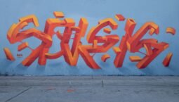 Current Trends in Stakewise Staked ETH: Should You Invest?