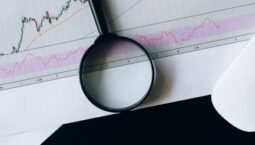 Investment Opportunities Business Insights: Market Analysis and Trends 2026